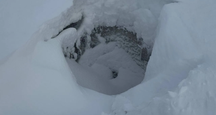 Прогулка с собакой обернулась травмой: в Кургане женщина провалилась в люк