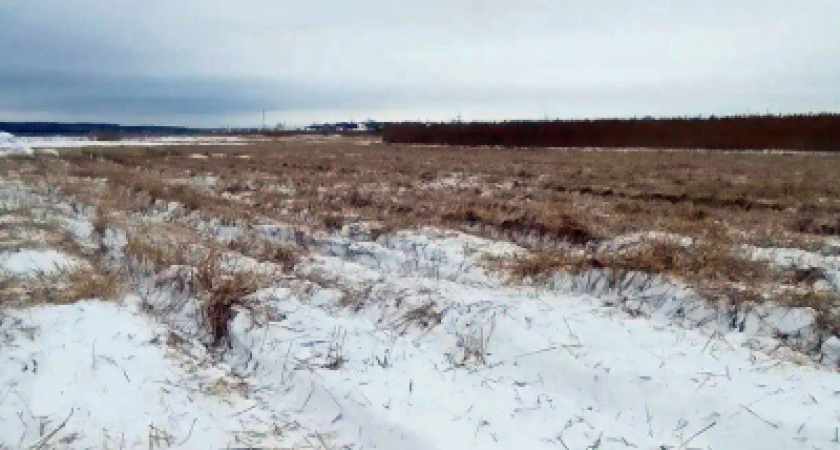 В Кургане косят камыш и убирают свалки перед пожароопасным сезоном