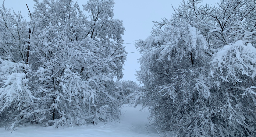 Колыхматова уточнила, что гостиница будет построена неподалеку от Кургана