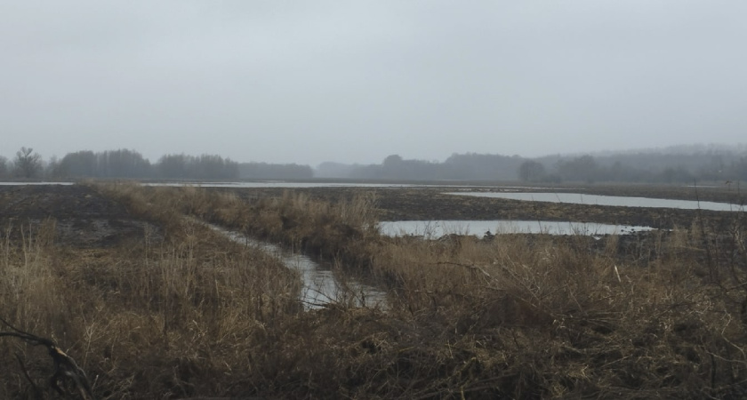 Сбросы на водохранилищах Казахстана усилят паводок в Курганской области