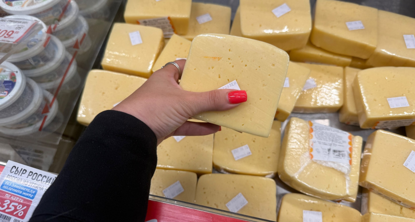 В курганском госуниверситете разрабатывают бренд сыра на местных заквасках