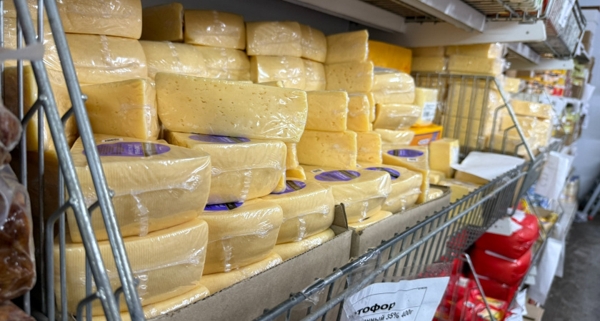 Только 24 вида сыра из 112 эксперты Росконтроля признали качественными: полный список - можно смело брать