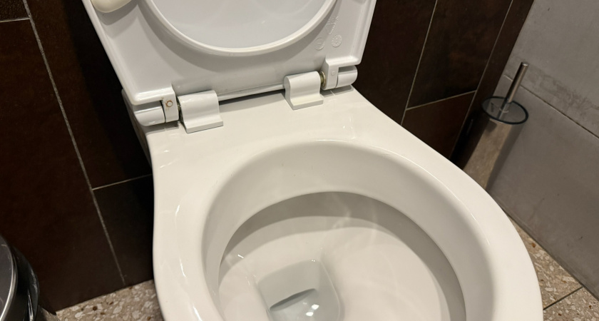 Зачем нужно солить воду в унитазе. Запомните это на всю жизнь