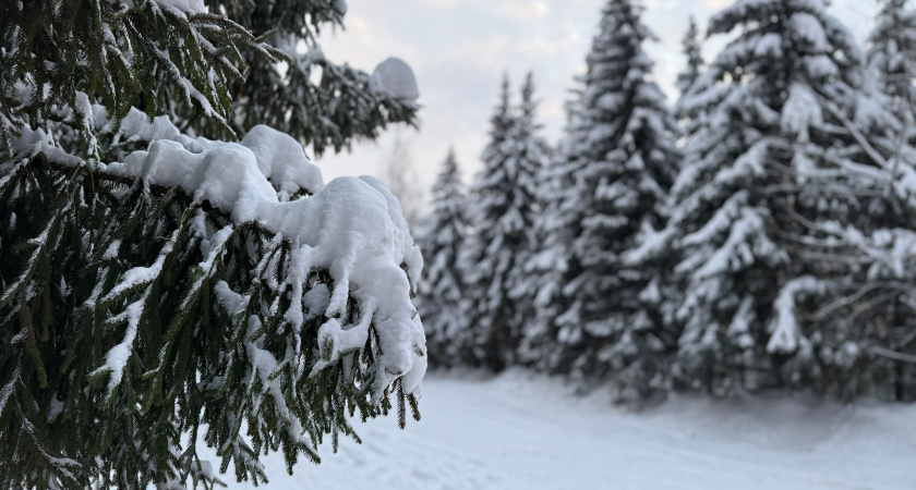 Охотники Курганской области могут подавать заявки на весенний сезон