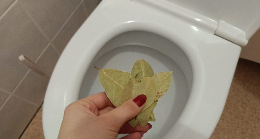 Лавровый листик бросаю в унитаз выходом: тонкой хитрости научила опытная горничная - ценнейший совет на всю жизнь