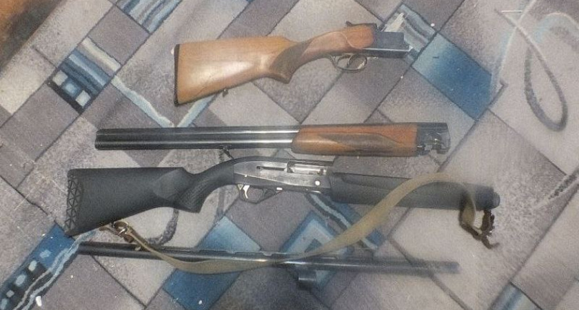 Стрельба из автомобиля: в Куртамышском округе задержали братьев с добытой косулей