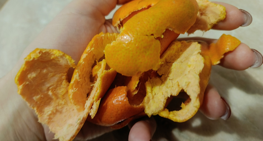 Апельсиновые корки кладу на батарею, пока горячие: использую их уже весной - спасают огород от 5 бед 