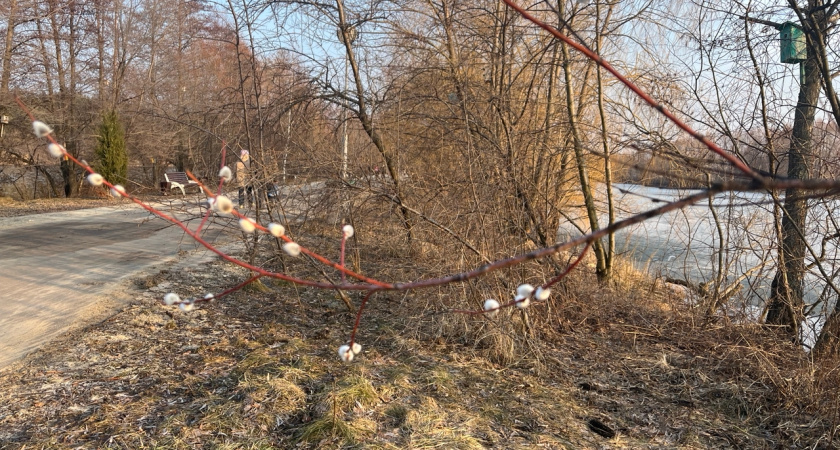 Последний месяц зимы в 2026 году вошел в десятку самых снежных в Курганской области. Каким будет первый месяц весны? 