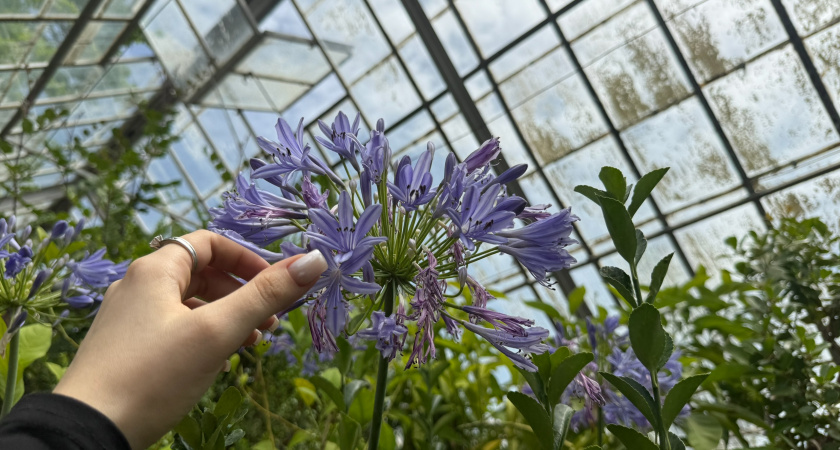 Теплицу строю строго "по компасу": исправил 3 ошибки с поликарбонатом - сделал более надежную конструкцию