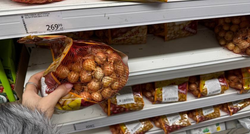 Проращиваю репчатый лук как в Голландии: на 15 минут замачиваю в растворе - на выходе получаю головки по 500 г