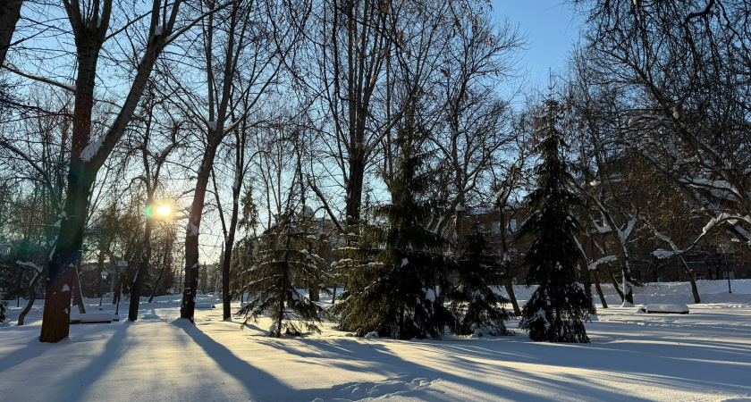 Курган впервые принял Форум китайского языка