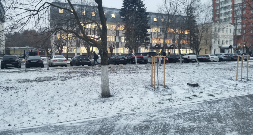 В районе мечети Кургана планируют массовый снос домов под высотки