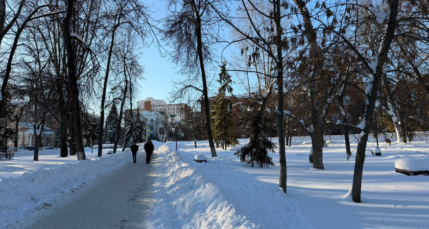 Курганцы победили в финале зимнего фестиваля ГТО