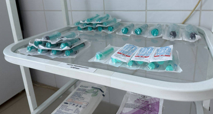 "Бешенство — неизлечимо и только смерть": жительница Кургана заявила о нехватке вакцин от бешенства после укуса собаки