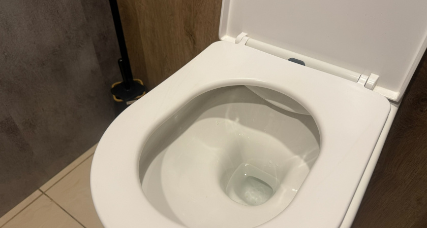 Ходить в туалет на унитаз теперь не в моде: новый туалетный тренд шагает в России