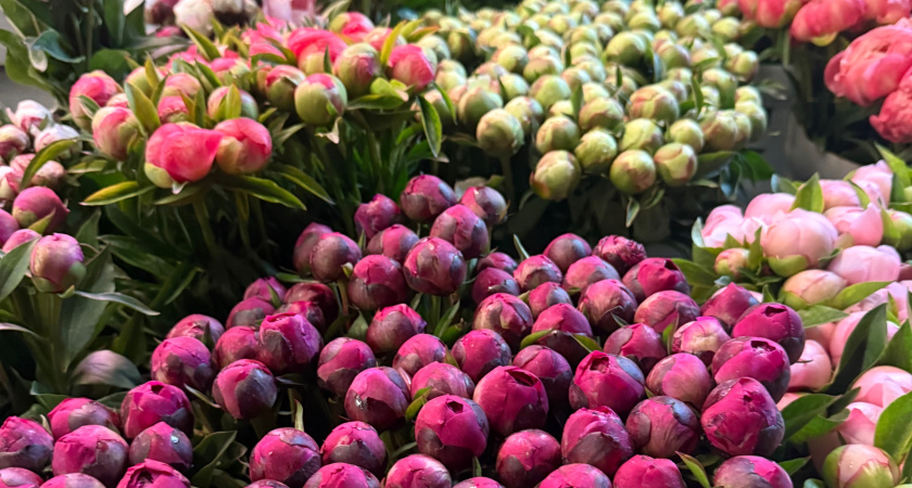 Цветочные базары откроются перед 8 Марта в Кургане: где можно купить букет?