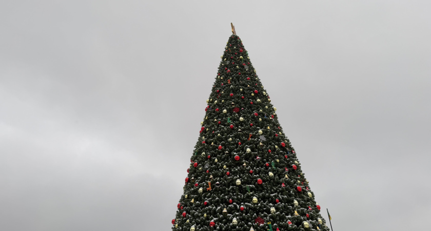 Считанные дни остались до разбора главной ёлки на площади в Кургане