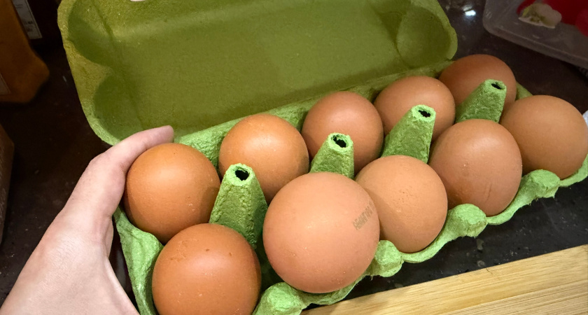 Опасные яйца не пропустили через границу Курганской области