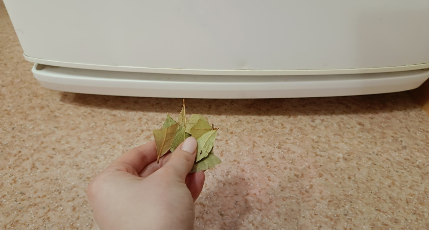 Зачем лаврушку класть под холодильник: ценный совет от опытных хозяек - работает на 100 %