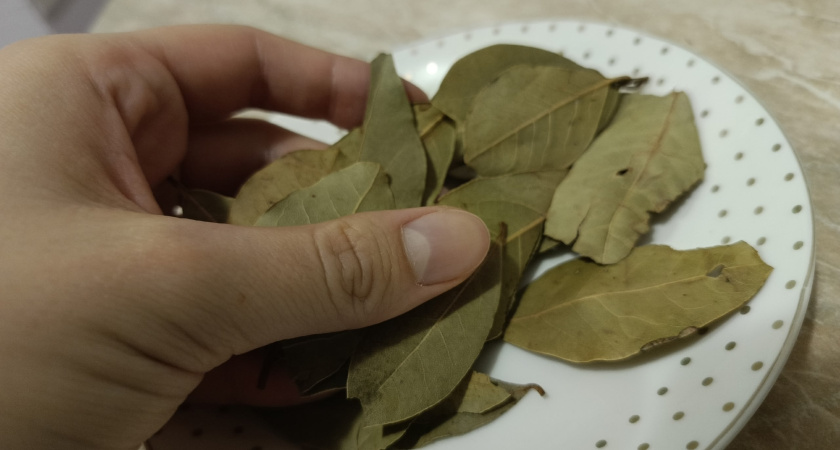 Вырастила настоящую шевелюру: нужна только пачка лаврушки - делюсь личными методами ухода за волосами