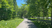 В курганских парках начинается борьба с клещами