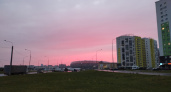 В центре Кургана на месте снесенных деревьев появятся новые 