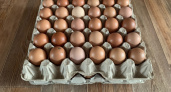 Антибиотики и треснувшая скорлупа: Росконтроль назвал марки куриных яиц, которые не стоит брать даже с хорошей скидкой 