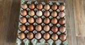 Треснувшая скорлупа, а внутри антибиотики вместо желтка: эти куриные яйца попали в черный список Роскачества