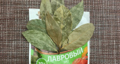 «Уходя из дома, всегда клади лавровый лист в унитаз»: знакомая дала интересный совет - ошалела от результата