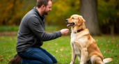 10 «нельзя» для хозяина собаки: эти ошибки мешают дружбе - их совершают из любви к питомцу, а сами вредят 
