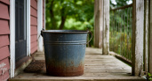 Почему деревенские ставят ведро с водой у порога: узнал и теперь всегда так делаю - результат удивляет всех