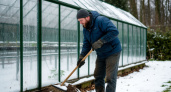 Счистил снег с теплицы - испортил поликарбонат, не счистил - испортил теплицу: вот как я за ночь решил вопрос со сходом снега 1-й свечой