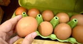 Как правильно выбирать яйца: хитрость продавцов