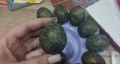 В старину наши бабушки на Пасху красили яйца только так: 7 способов для праздничного цвета - без химии и мороки