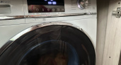 5 ошибок, которые губят стиральную машинку: мы совершаем их при каждой стирке - запомните раз и на всю жизнь