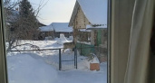 Любопытная косуля заглянула во двор к жителям Курганской области и попозировала на камеру