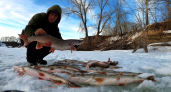 Десятки щук поймали рыбаки Кургана на Тоболе: клевало практически без остановки