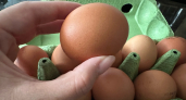 Знакомая с птицефабрики рассказала, почему крупные яйца не стоит брать на Пасху - что с ними не так?