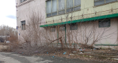 "Горы хлама и сухостой": курганцев пугает бывшее здание столовой на Химмаше