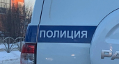 Жителю Кетовского округа грозит тюрьма за кражу телевизора из квартиры знакомой