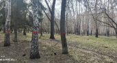 Грядёт крупная вырубка? Курганцы обеспокоены красными лентами, появившимися на деревьях в ЦПКиО
