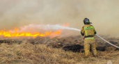 В Курганской области 9 человек привлекли к ответственности за поджог сухой травы 