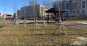 В 2026 году в Кургане будет высажено более одной тысячи деревьев