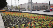 В Кургане более 24 тысяч цветов будет высажено в Городском саду