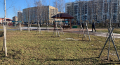 Курганцев приглашают принять участие в акции «Сад Памяти»