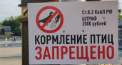 В Кургане кормить птиц можно только в специально отведенных местах