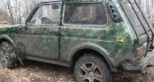 В Шадринском округе браконьер лишился оружия и автомобиля из-за незаконной охоты