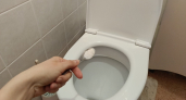 Вот для чего нужно солить воду в унитазе: запомните раз и на всю жизнь