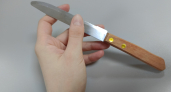 Дорогие точилки для ножей больше не в моде: обычная вещь с кухни справляется лучше: лезвие острое за 2 минуты