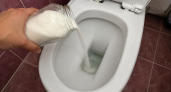 Зачем нужно сластить воду в унитазе ночью: запомните навсегда и передайте потомкам